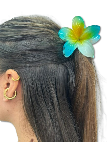 Broche 